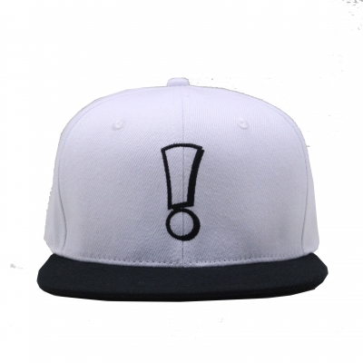 flat embroidery 6 panels snapback cap 